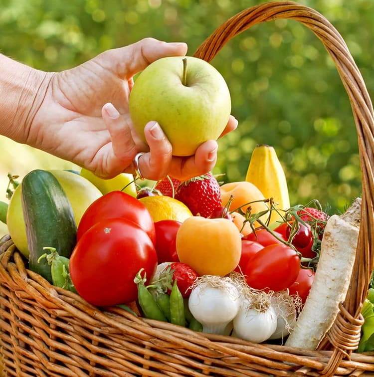 fruits